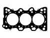 Cylinder Head Gasket:10112200