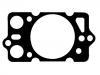 Zylinderkopfdichtung Cylinder Head Gasket:60605900