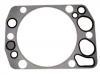 Cylinder Head Gasket:422 016 04 20