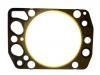 Cylinder Head Gasket:30-026235-10