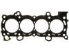 Zylinderkopfdichtung Cylinder Head Gasket:10136700