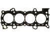 Cylinder Head Gasket:10136700