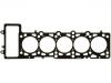 气缸垫 Cylinder Head Gasket:070 103 383 L